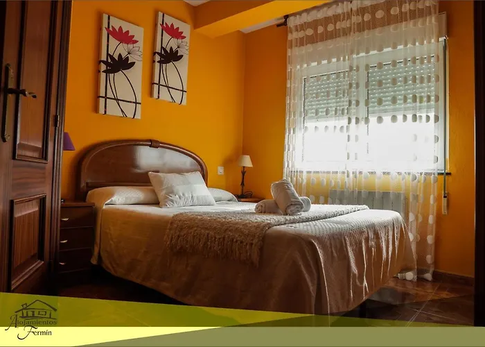 Alojamientos Fermin Guest house 2*